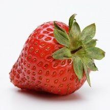 いちごの写真