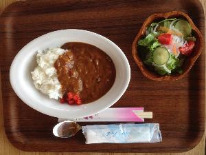 こみちカレー