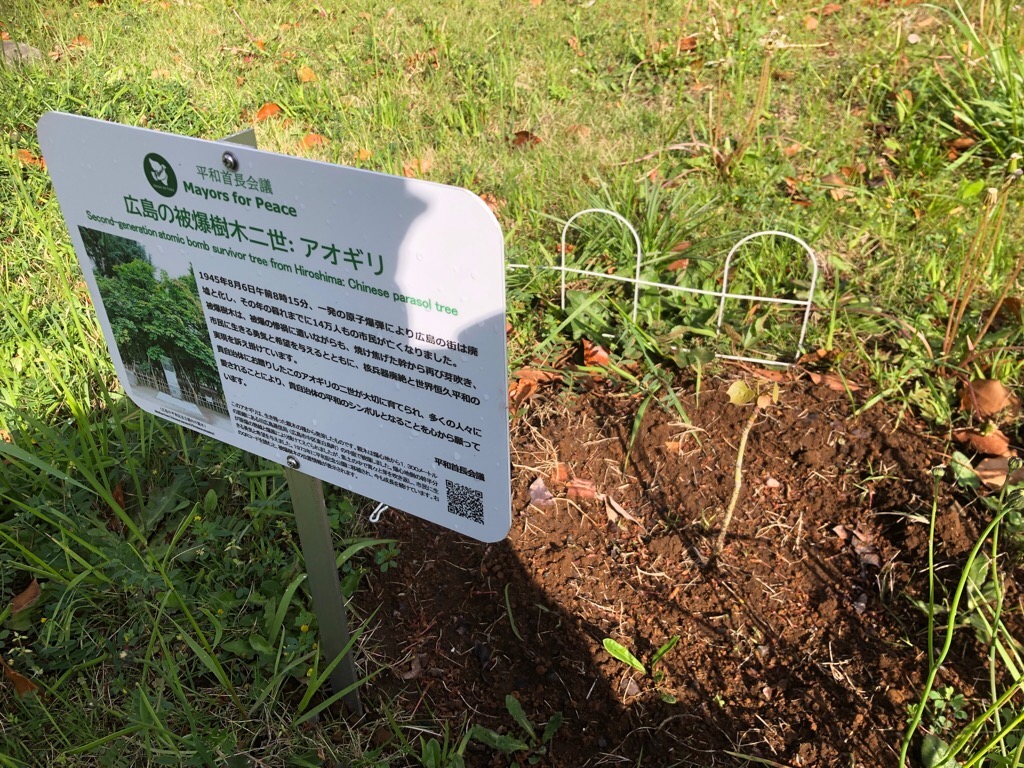 4月17日撮影