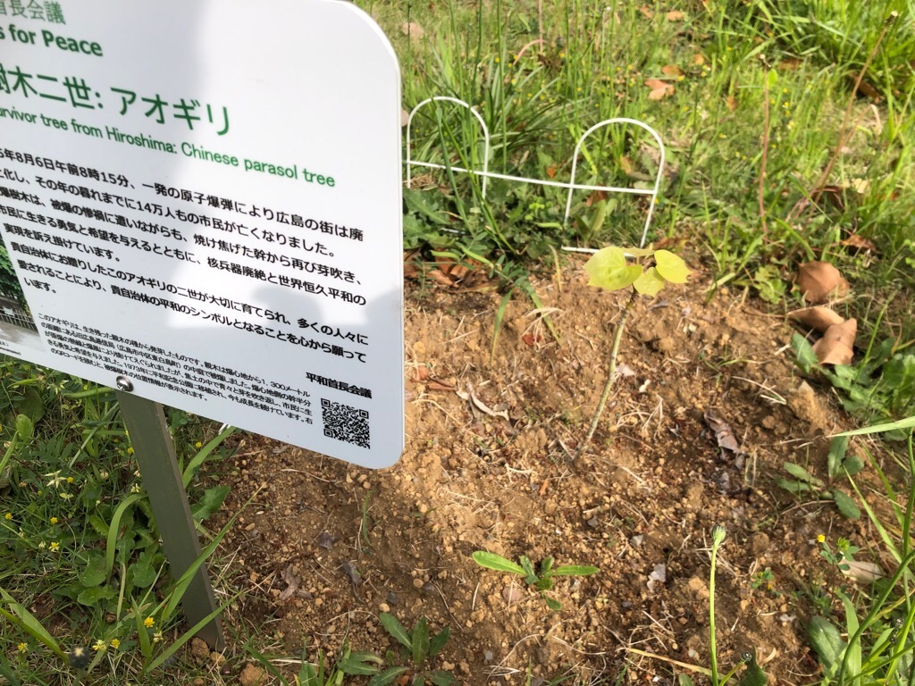 4月24日撮影