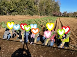 全体での収穫写真