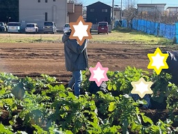 収穫写真その1