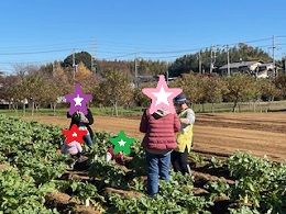 収穫写真その2