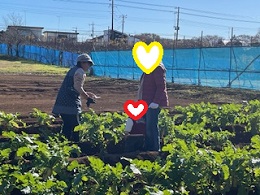収穫写真その2収3