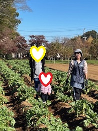 収穫写真その6