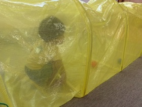 トンネル遊びをする幼児の写真
