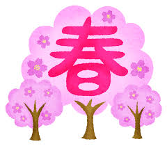 春桜1-1