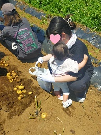 じゃがいもを入れている母