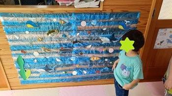 海中の生き物を展示