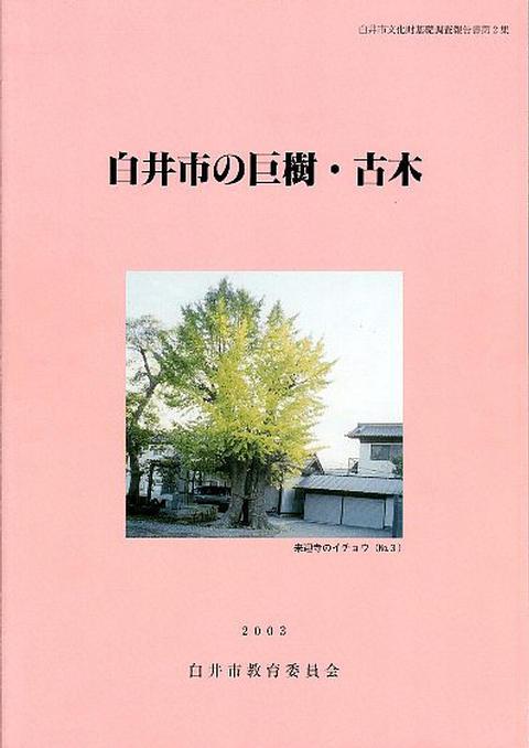 (画像)白井市の巨樹・古木