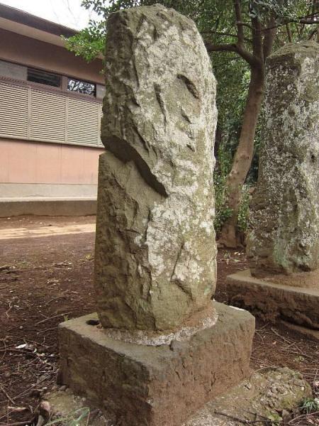 (写真)背面