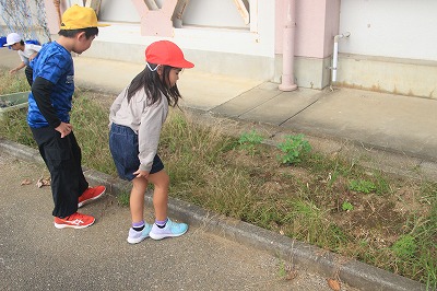 「虫取り」に夢中