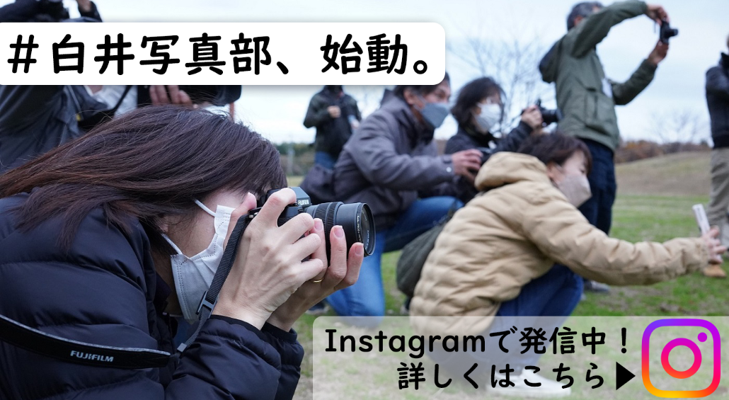 白井写真部