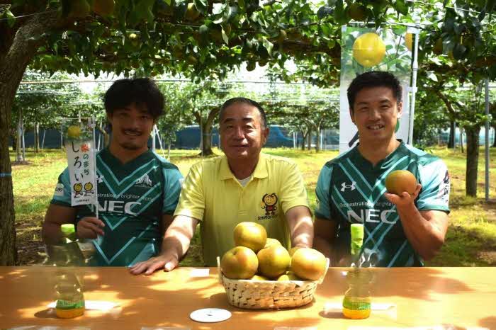 梨の試食会 市長とNECグリーンロケッツの選手たち