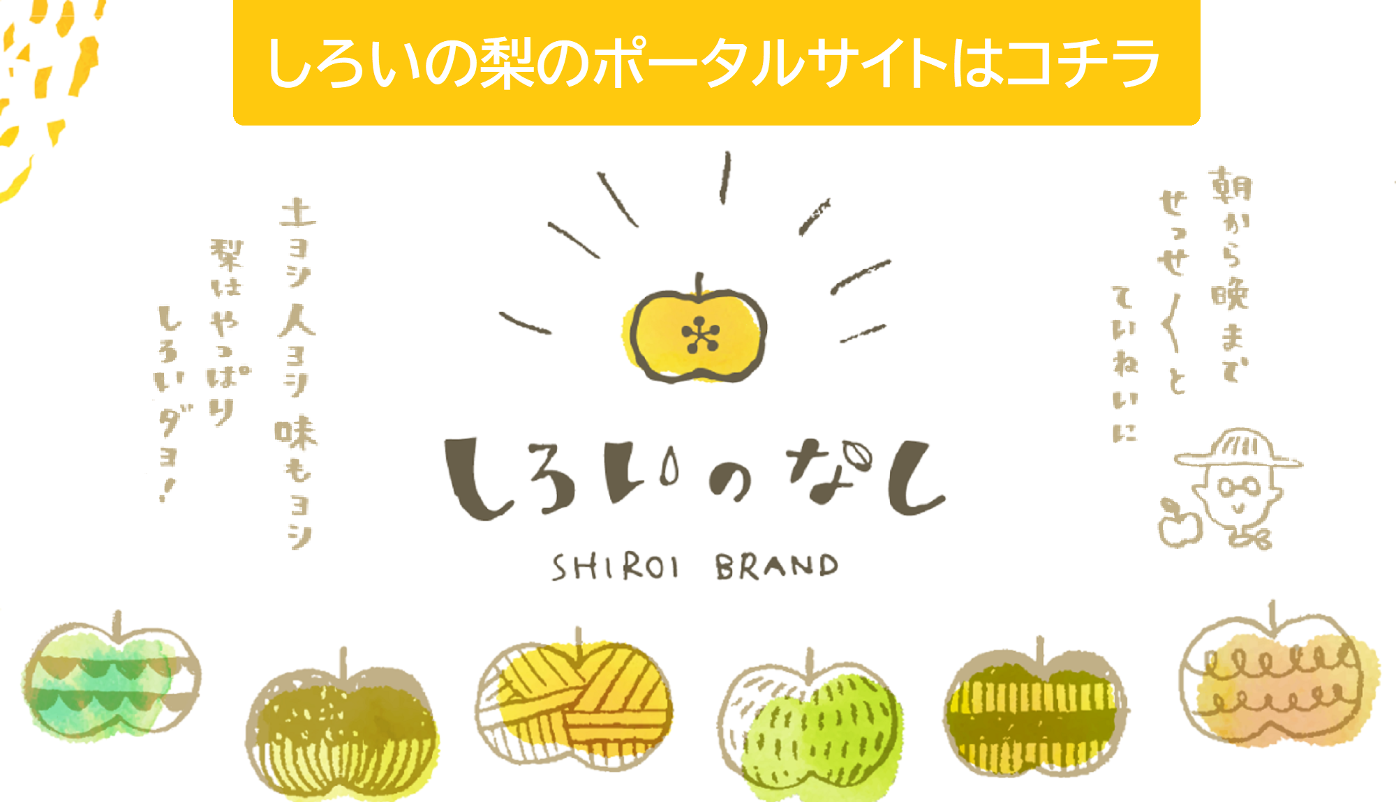 しろいの梨