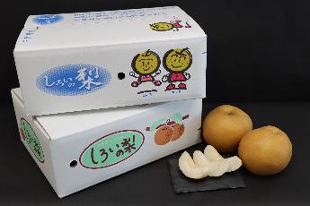 しろいの梨画像