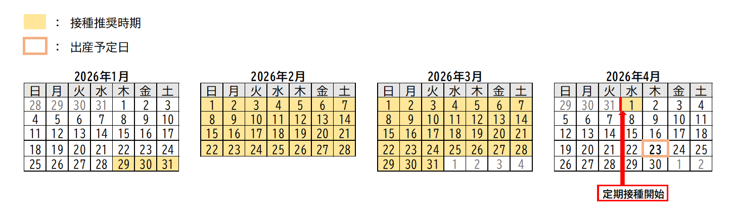 RSウイルスワクチンの接種期間例