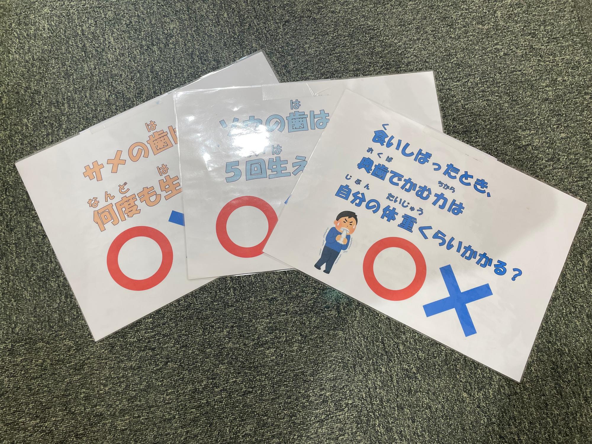 ふるさとまつり歯科3