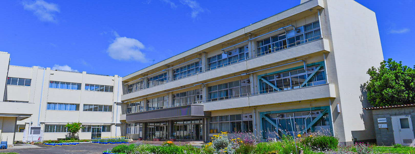 白井市立大山口小学校