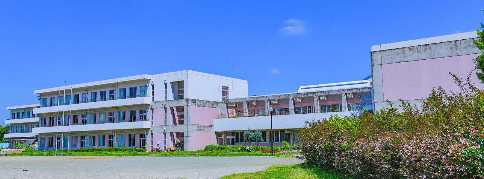白井市立桜台小学校
