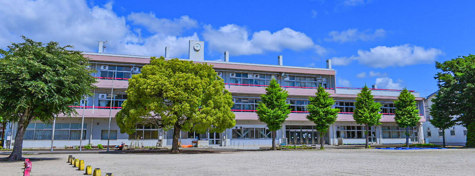 白井市立清水口小学校