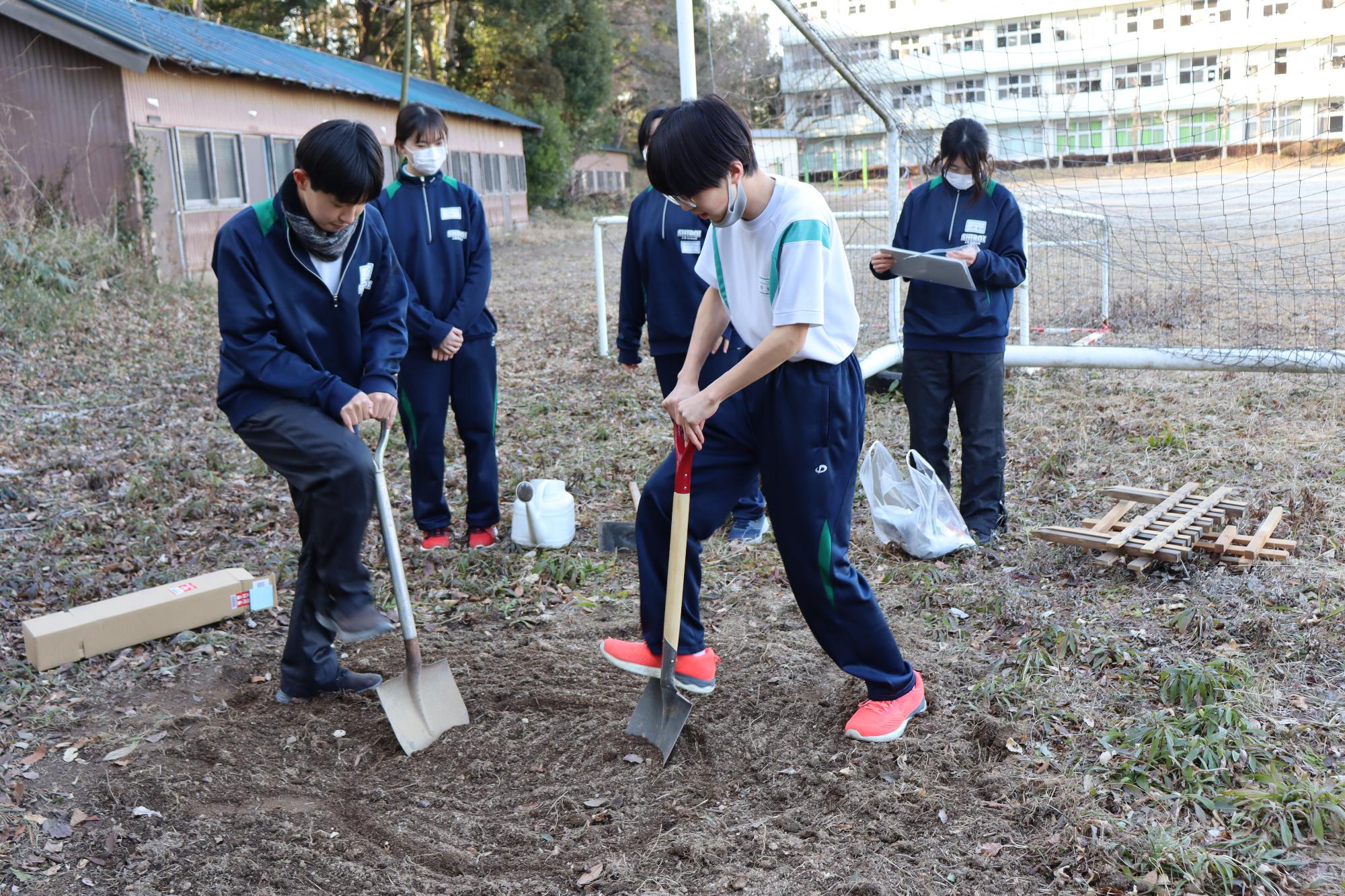 植樹の為の穴を掘る白井中学校の生徒たち