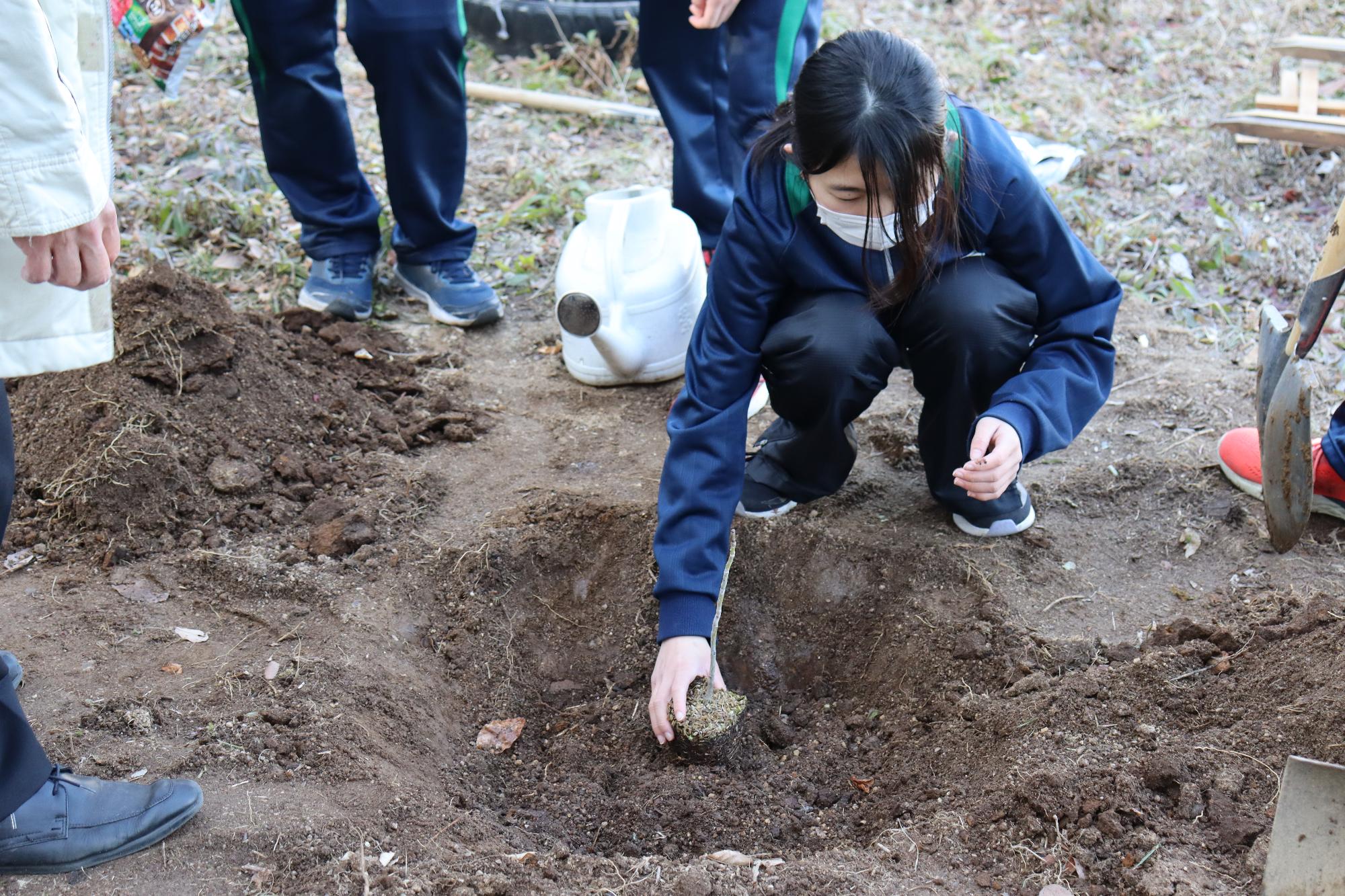 白井中学校の生徒による植樹の様子