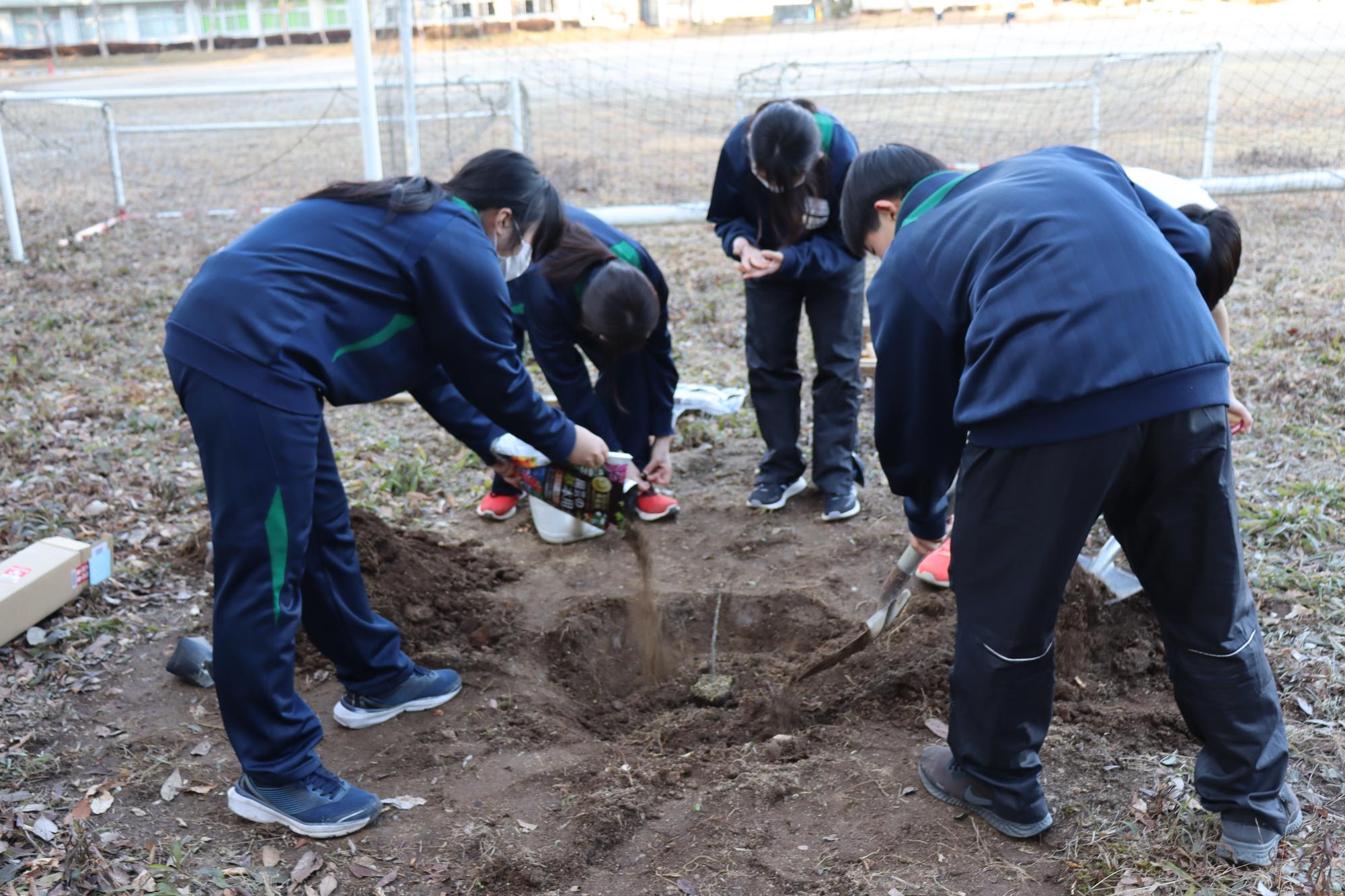苗木に土をかける白井中学校の生徒たち