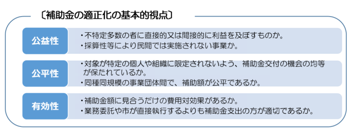 補助金の適正化の基本的視点