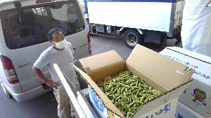 枝豆生産者の中村さん