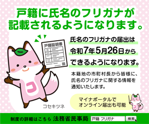 戸籍氏名フリガナ