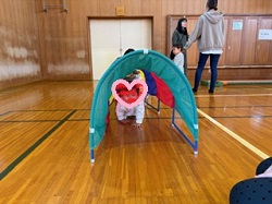 トンネル遊びの親子の写真