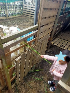 えさやるこども