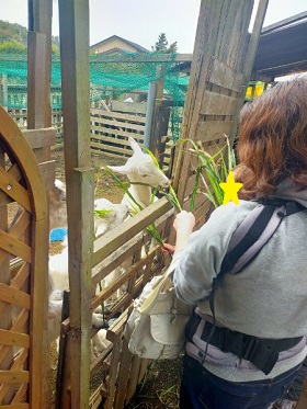 親子でえさやり2