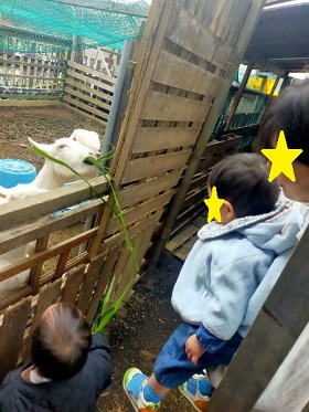 えさやるこども