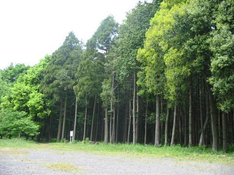 良好な山林の緑地