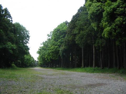 緑地の保全にご協力を