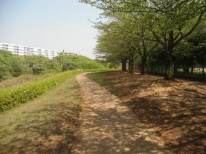 南山公園の風景写真