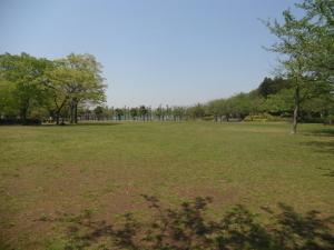 公園の風景写真2