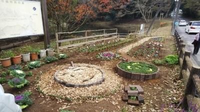 花壇の全景