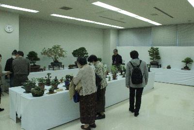 展示部門（盆栽の様子）