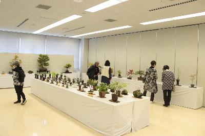 展示部門（盆栽の様子）