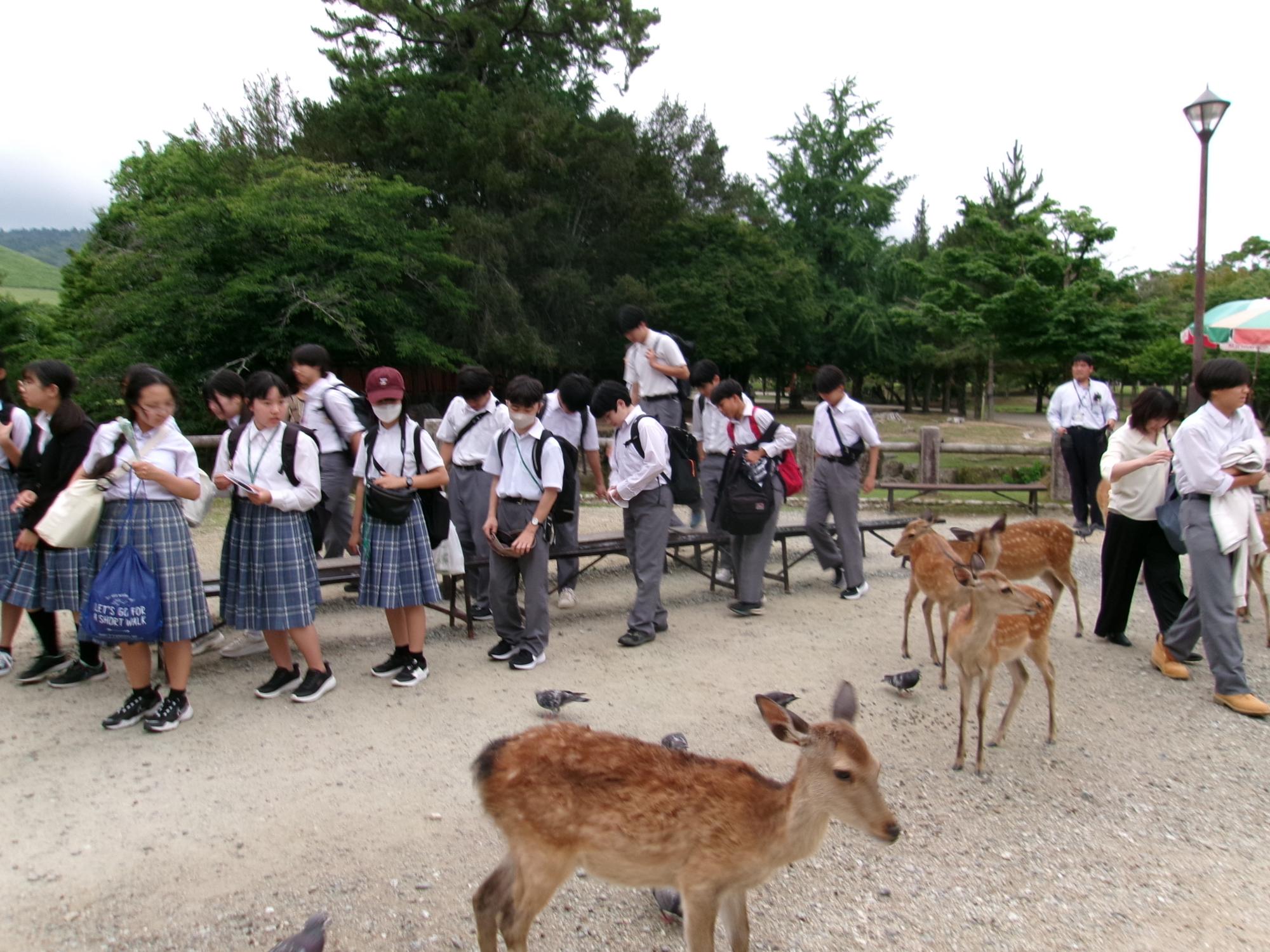 修学旅行4