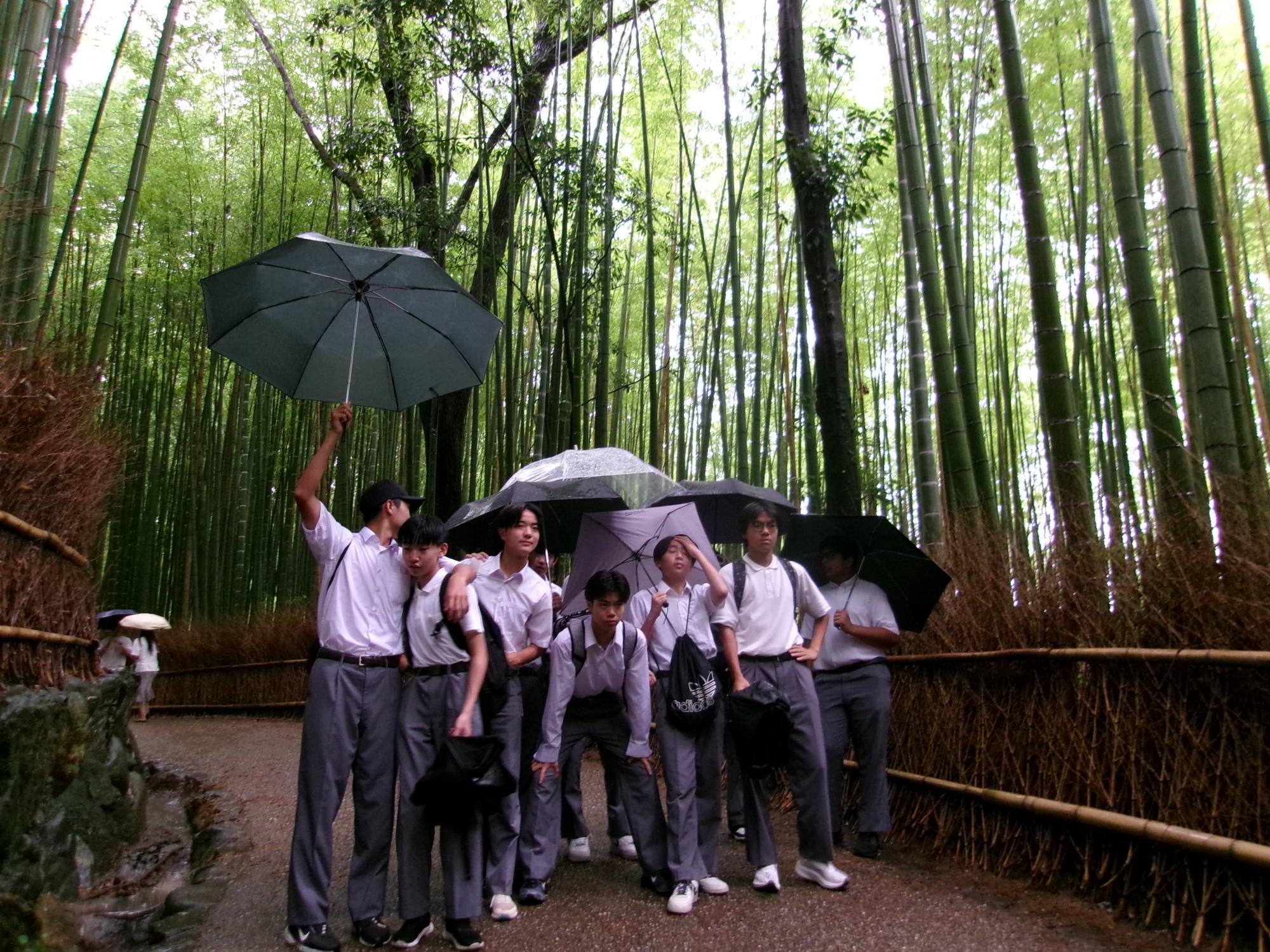 修学旅行6