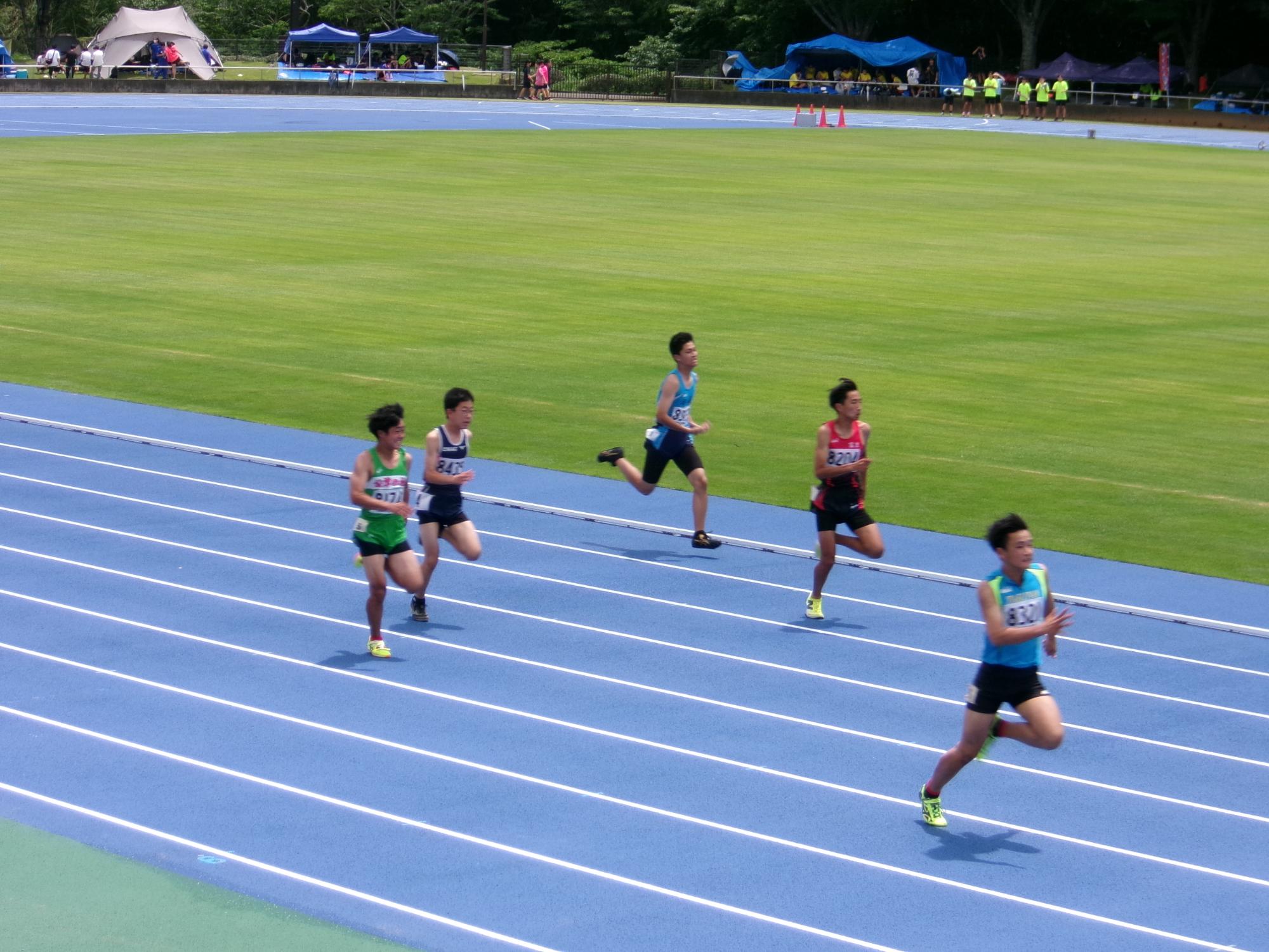 印旛郡市中学校総合体育大会1