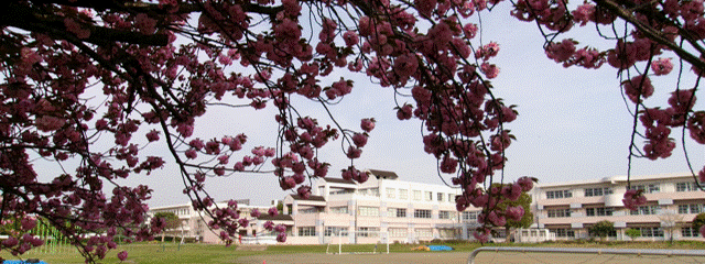 白井市立桜台中学校